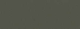 Rock Gray