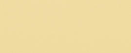 Gastrodia Yellow