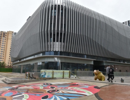 Wood Effect Aluminum Baffle Exterior Wall Cladding & Facade System